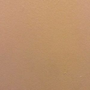 Meet your Posher, Shonda